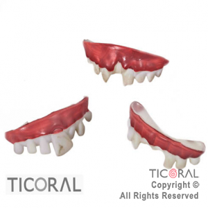 DENTADURA DIENTES CON POCOS DIENTES O TORCIDOS HS6776 x 1