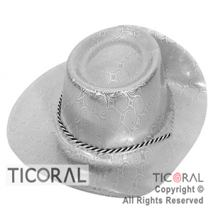 SOMBRERO VAQUERO HOLOGRAFICO PLATA PLASTICO HS7141 X 5