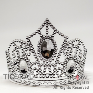 TIARA PLATA FANTASIA ESPEJADA OVALO HS7977-4 x 1