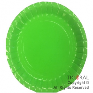 PLATO FLUO VERDE 22.5CM x 10