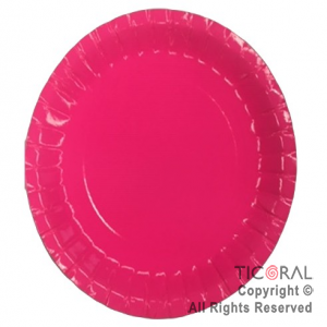 PLATO FLUO FUCSIA 22.5CM x 10