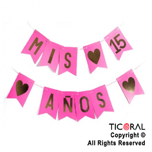 BANDERIN MIS 15 AOS COLOR ROSA FUCSIA CON STAMPING x 1