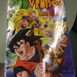 DRAGON BALL AFICHE BIENVENIDO Y RECORDATORIO x 2