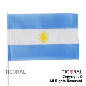 BANDERA PLASTICA ARGENTINA 15X25CM x 25