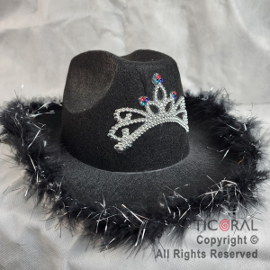 SOMBRERO COWBOY CORONA DECO PLATA Y PLUMAS NEGRO x 1